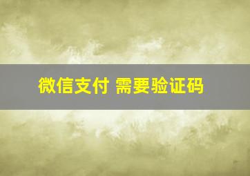 微信支付 需要验证码